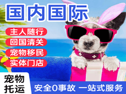 齐齐哈尔航空邮寄国际宠物托运 【国